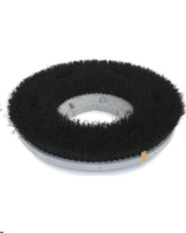 Rental store for BRISTLE BRUSH in Covington LA